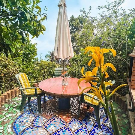 Canarian Cottage With Terrace Surrounded By Garden - Alisios La Orotava Exteriér fotografie