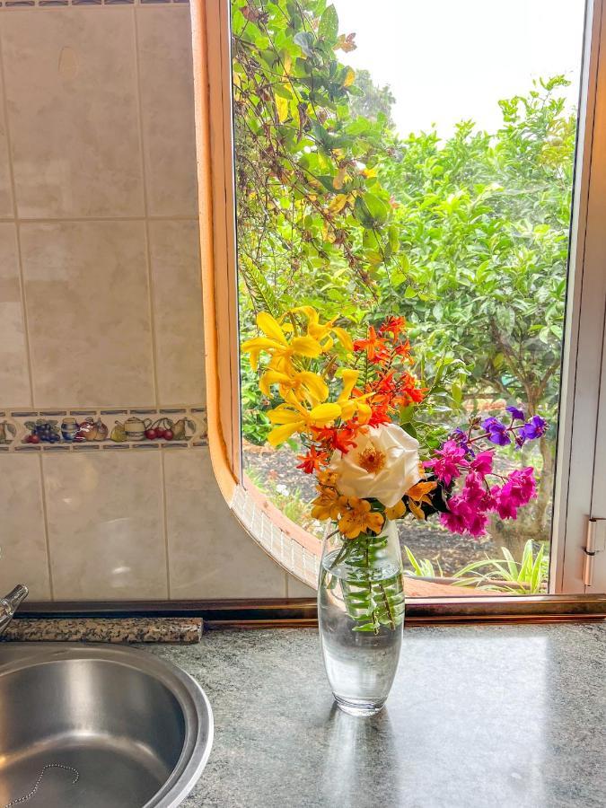 Canarian Cottage With Terrace Surrounded By Garden - Alisios La Orotava Exteriér fotografie