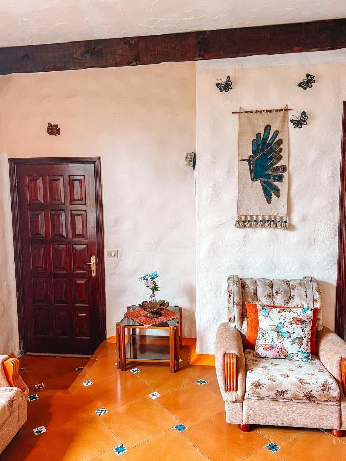 Canarian Cottage With Terrace Surrounded By Garden - Alisios La Orotava Exteriér fotografie