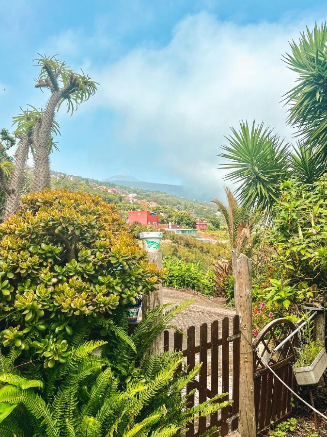 Canarian Cottage With Terrace Surrounded By Garden - Alisios La Orotava Exteriér fotografie