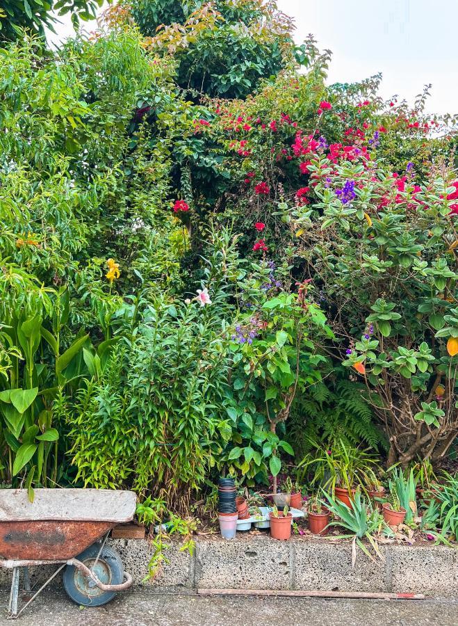 Canarian Cottage With Terrace Surrounded By Garden - Alisios La Orotava Exteriér fotografie