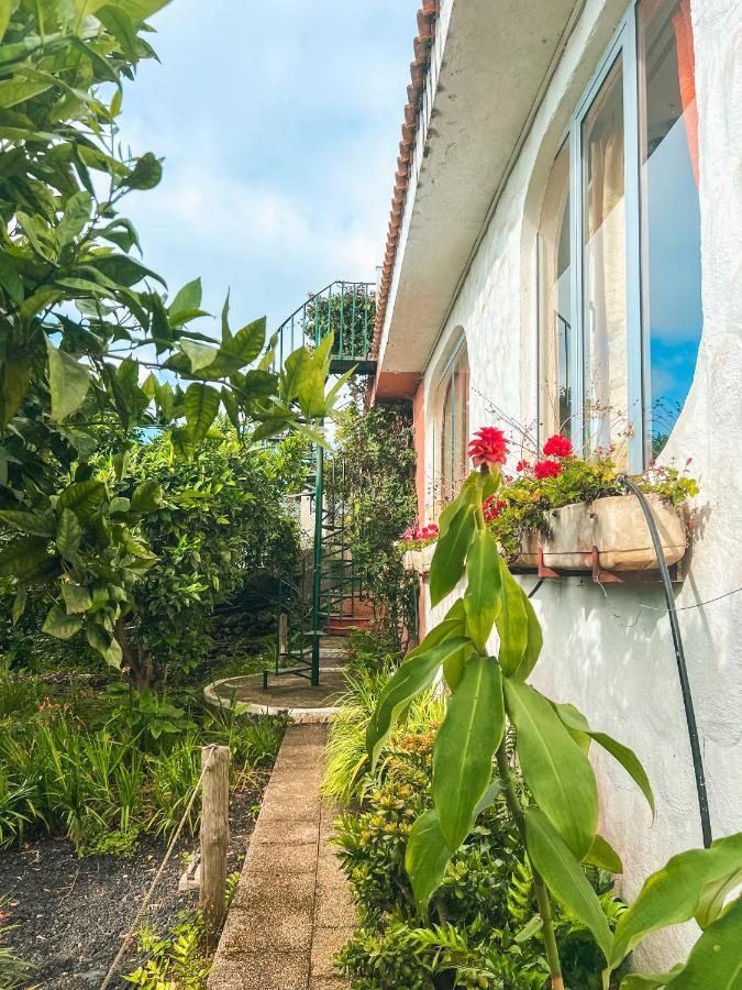 Canarian Cottage With Terrace Surrounded By Garden - Alisios La Orotava Exteriér fotografie