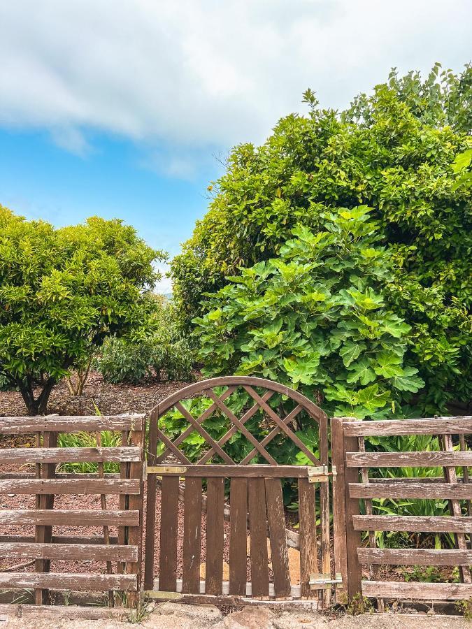 Canarian Cottage With Terrace Surrounded By Garden - Alisios La Orotava Exteriér fotografie