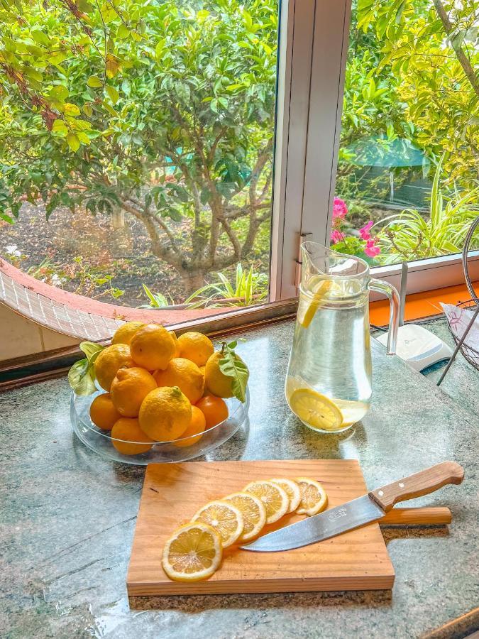 Canarian Cottage With Terrace Surrounded By Garden - Alisios La Orotava Exteriér fotografie