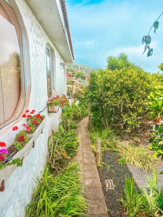 Canarian Cottage With Terrace Surrounded By Garden - Alisios La Orotava Exteriér fotografie