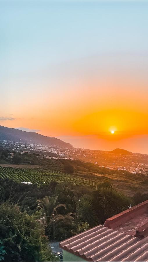 Canarian Cottage With Terrace Surrounded By Garden - Alisios La Orotava Exteriér fotografie