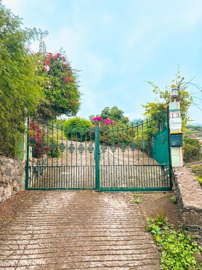 Canarian Cottage With Terrace Surrounded By Garden - Alisios La Orotava Exteriér fotografie